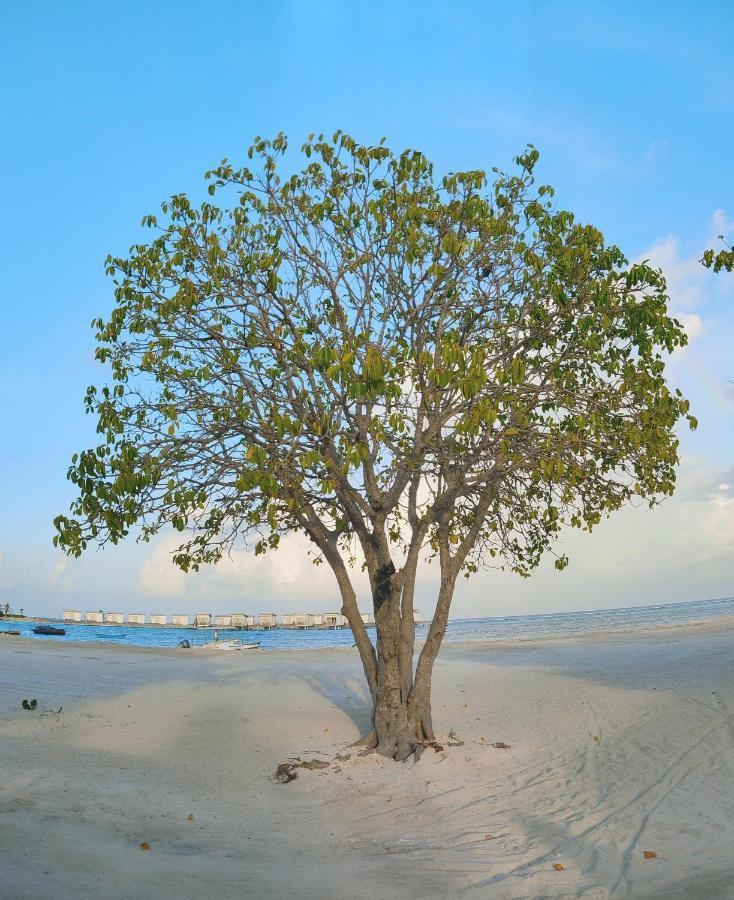 Готель La Isla Tropica Ґурайдгу Екстер'єр фото